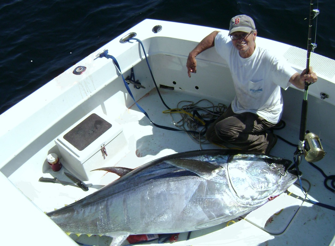 Tuna caught with Sputterbird!